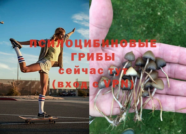 mdpv Алексеевка